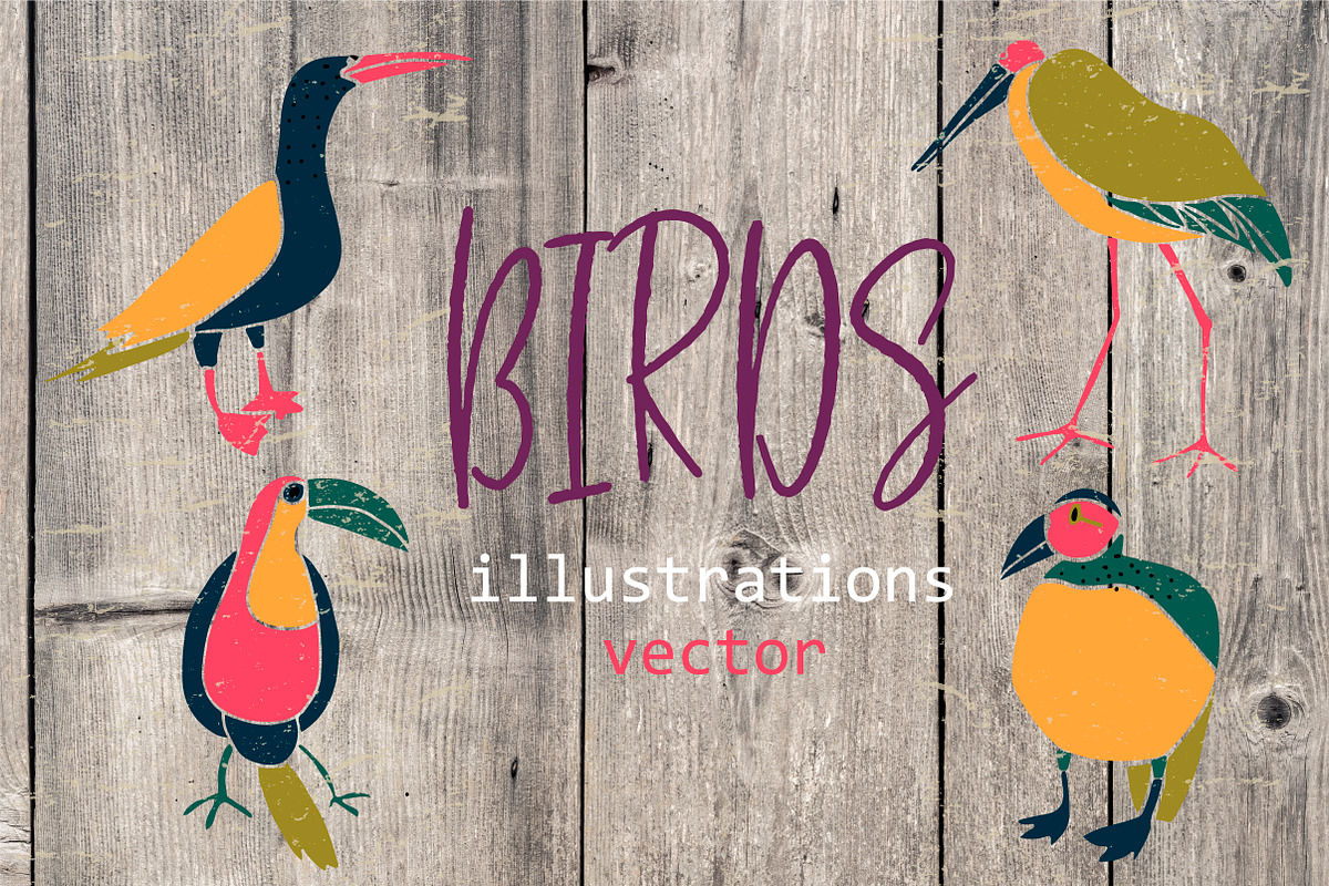 Birds - hand drawn clipart in Illustrations - product preview 8