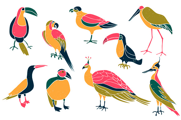 Birds - hand drawn clipart in Illustrations - product preview 1
