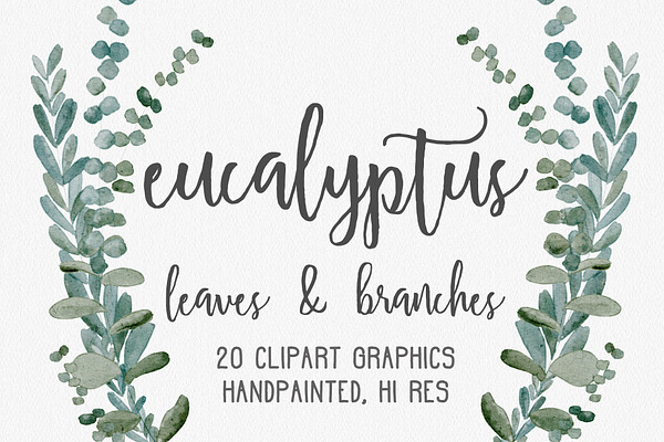 Eucalyptus Greenery Clipart Graphics