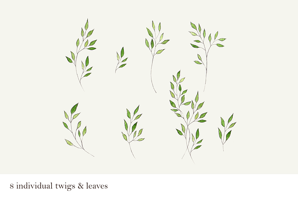 Leaves & Twigs Watercolour Drawing in Patterns - product preview 3