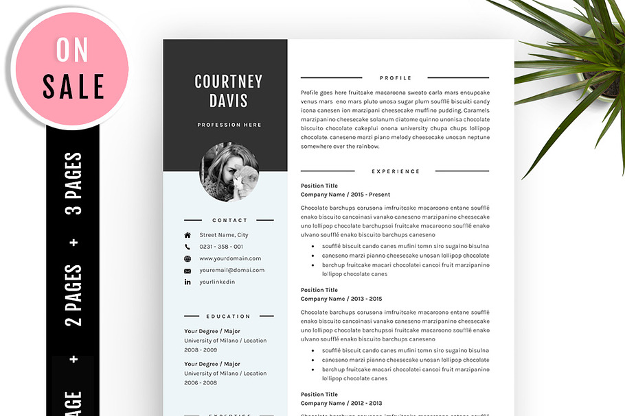 3 Pages Resume template CV Template