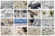 Beach photography pack