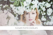Flower photo Overlays