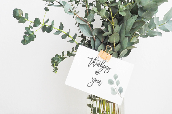 Watercolor Eucalyptus & Greenery in Illustrations - product preview 4