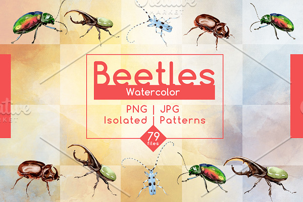Beetles JPG watercolor set  