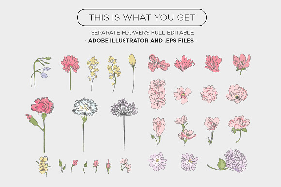 Floral Vectors in Illustrations - product preview 1