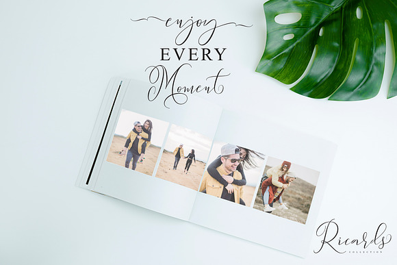 Sydnee Modern Calligraphy Font in Calligraphy Fonts - product preview 6