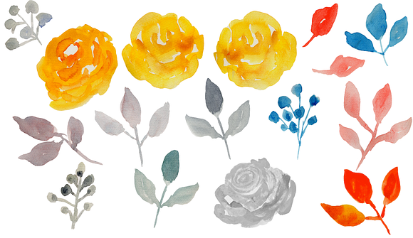 Watercolor Roses & Floral elements in Illustrations - product preview 2
