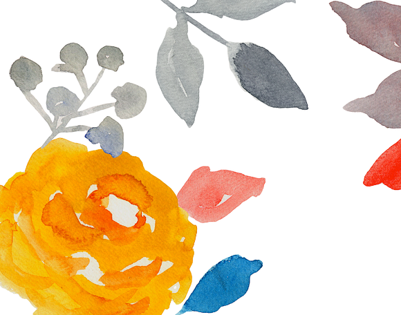 Watercolor Roses & Floral elements in Illustrations - product preview 3