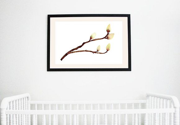 Budding Branches in Illustrations - product preview 1