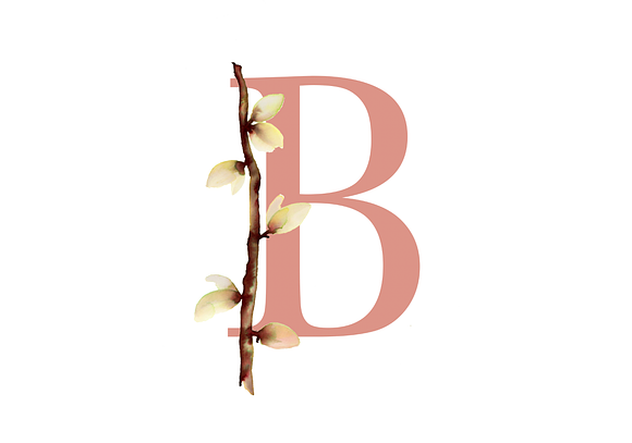 Budding Branches in Illustrations - product preview 4