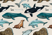 Sea mammals animal collection icons 