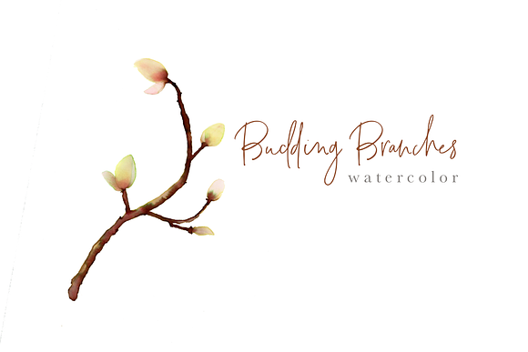 Budding Branches in Illustrations - product preview 7