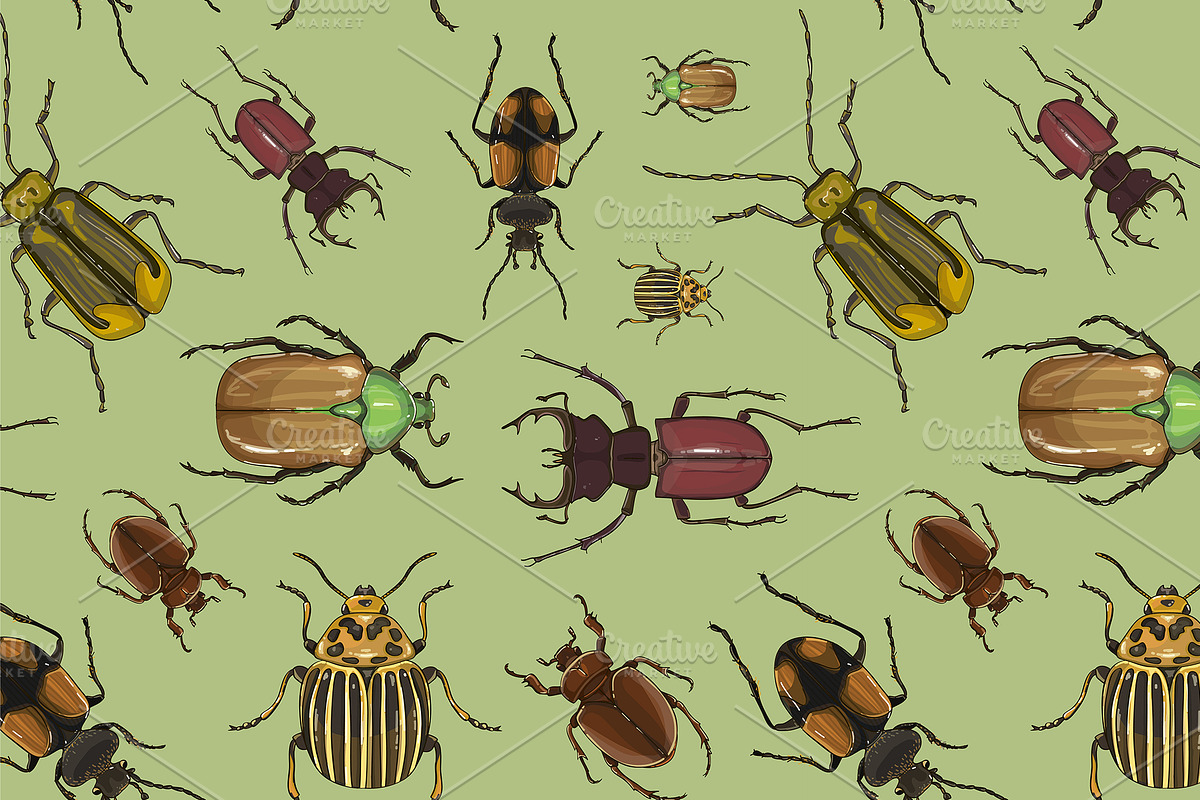 Set of beetle illustrations pattern in Patterns - product preview 8
