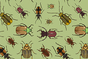 Set of beetle illustrations pattern