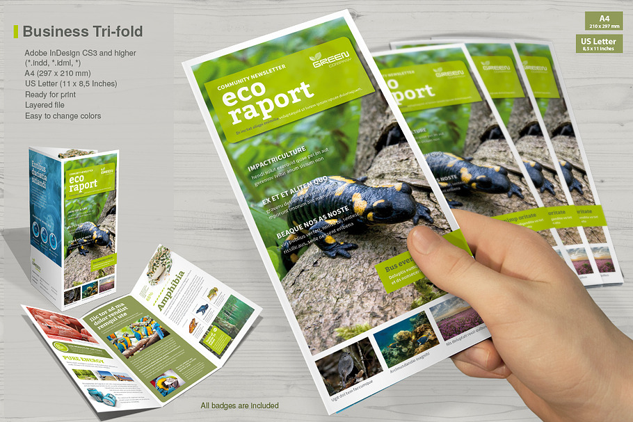Business Tri-fold Vol.8 in Brochure Templates - product preview 8