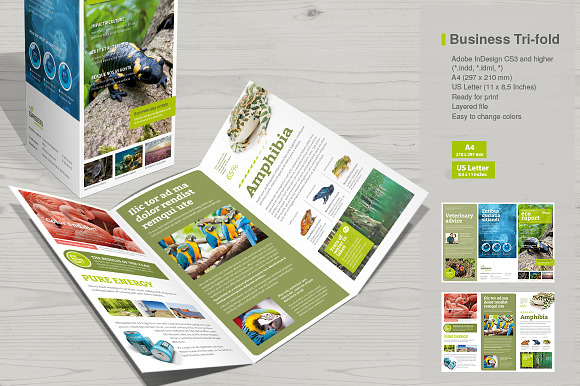 Business Tri-fold Vol.8 in Brochure Templates - product preview 2