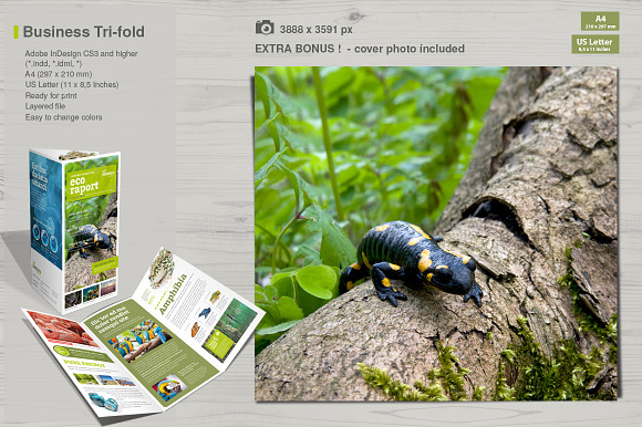 Business Tri-fold Vol.8 in Brochure Templates - product preview 3