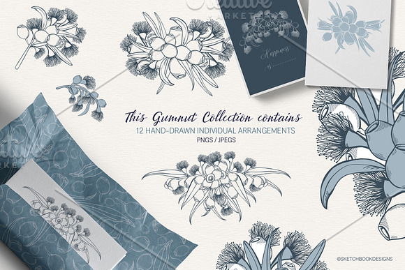 Hand Drawn Gumnut Flower Collection in Illustrations - product preview 1