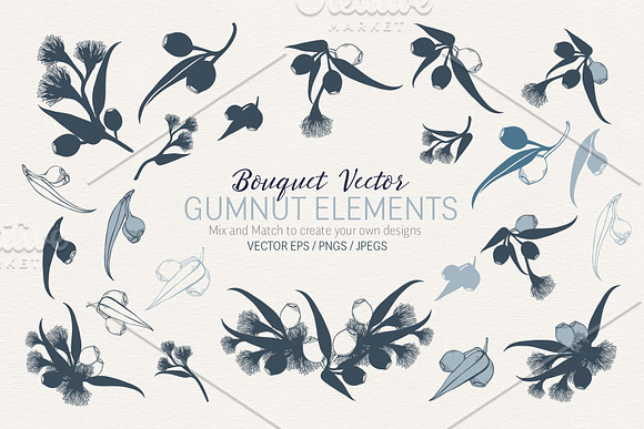 Hand Drawn Gumnut Flower Collection in Illustrations - product preview 7