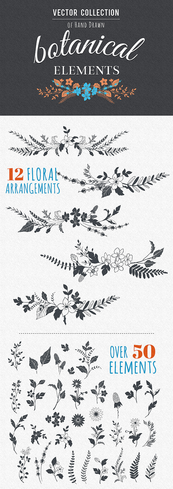 Botanical Decorative Elements in Illustrations - product preview 5