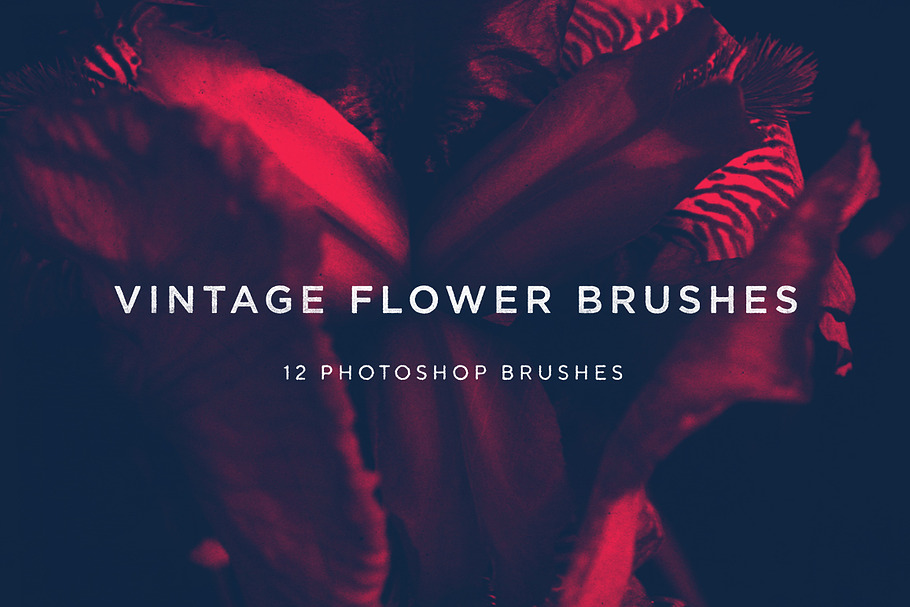 Vintage Flower Brushes in Photoshop Brushes - product preview 8