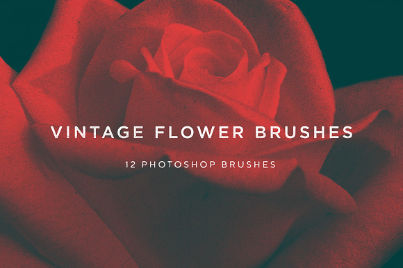 Vintage Flower Brushes in Photoshop Brushes - product preview 1