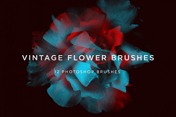 Vintage Flower Brushes in Photoshop Brushes - product preview 2