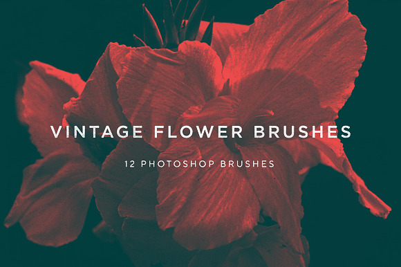 Vintage Flower Brushes in Photoshop Brushes - product preview 3