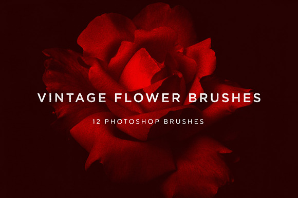 Vintage Flower Brushes in Photoshop Brushes - product preview 4