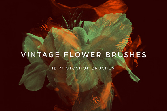 Vintage Flower Brushes in Photoshop Brushes - product preview 5
