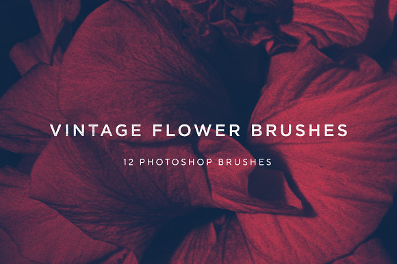 Vintage Flower Brushes in Photoshop Brushes - product preview 6
