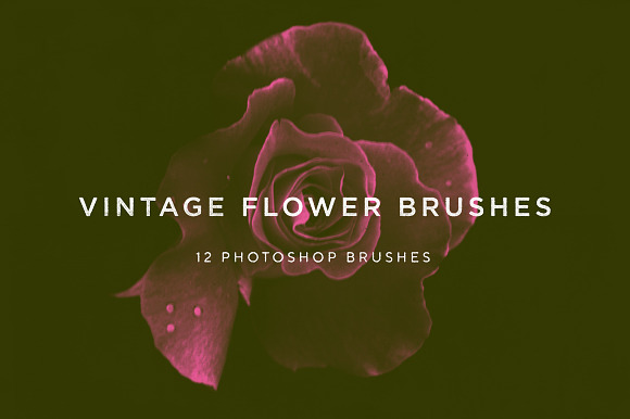 Vintage Flower Brushes in Photoshop Brushes - product preview 7
