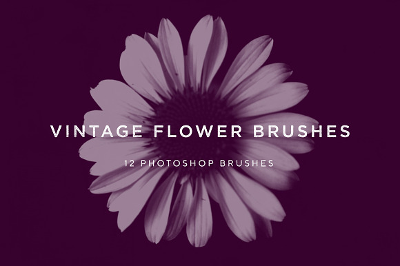 Vintage Flower Brushes in Photoshop Brushes - product preview 8