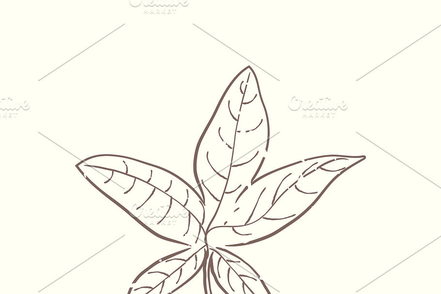 Illustration of plant in Illustrations - product preview 8