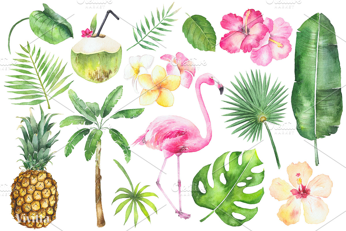 Watercolor Tropical set. in Illustrations - product preview 8