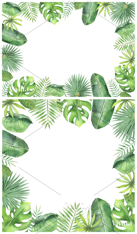 Watercolor Tropical set. in Illustrations - product preview 1