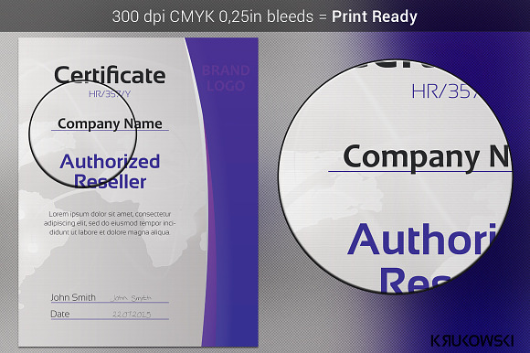 Reseller Certificate in Stationery Templates - product preview 1