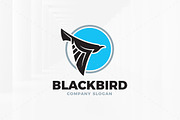 Black Bird Logo Template