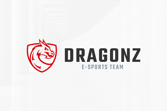 Dragon Shield Logo Template in Logo Templates - product preview 1