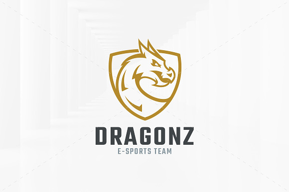 Dragon Shield Logo Template in Logo Templates - product preview 2