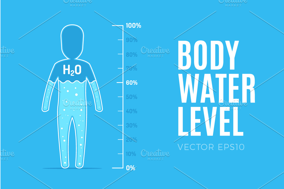 Body Water Level in Illustrations - product preview 8