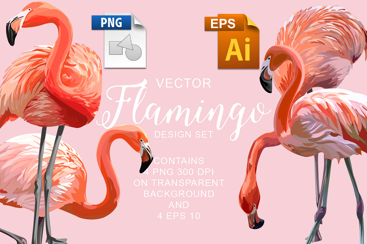 Flamingo Vector Design Set in Illustrations - product preview 8