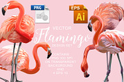 Flamingo Vector Design Set