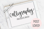 Calligraphy Procreate Brush