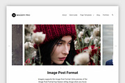 Portfolio Theme Imagery Pro