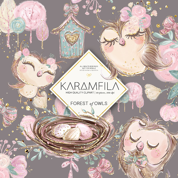 Owls Clipart in Illustrations - product preview 1