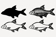 fish set vector SVG PNG DXF 