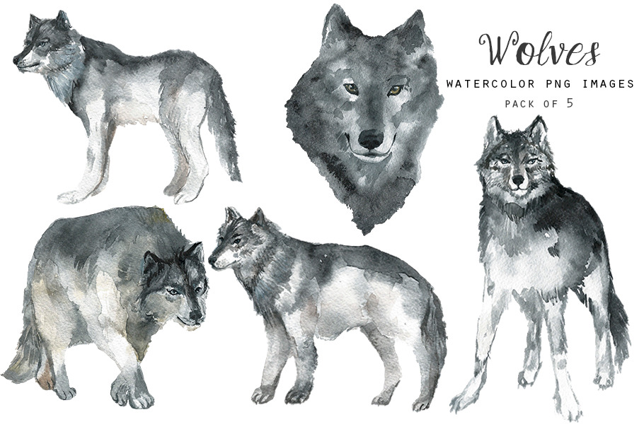 Watercolor wolf clipart