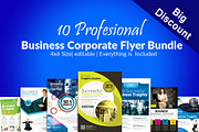 10 Multi Use Business Flyer Bundle